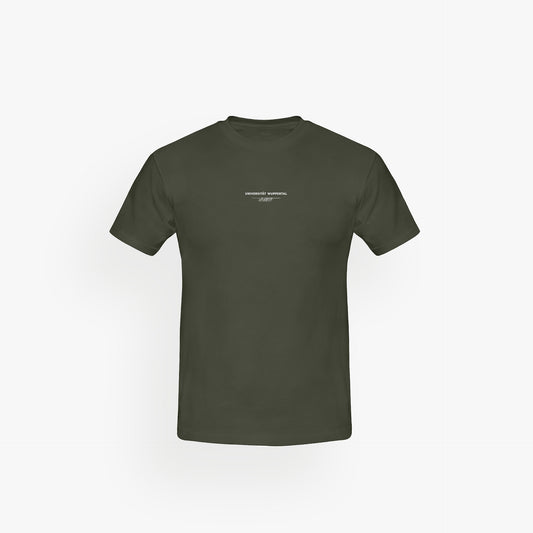 Classic Shirt Pale Verde · 23X057-3