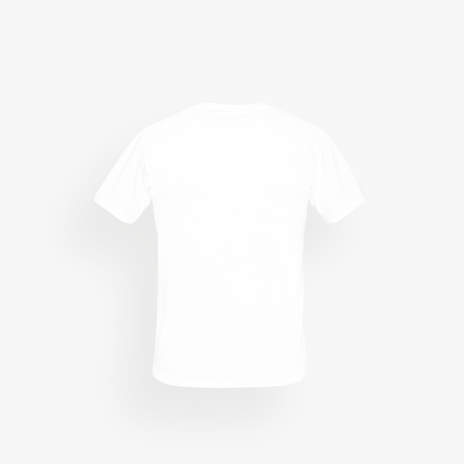 Basic Shirt White · 23X199-1